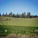 X-Pro II